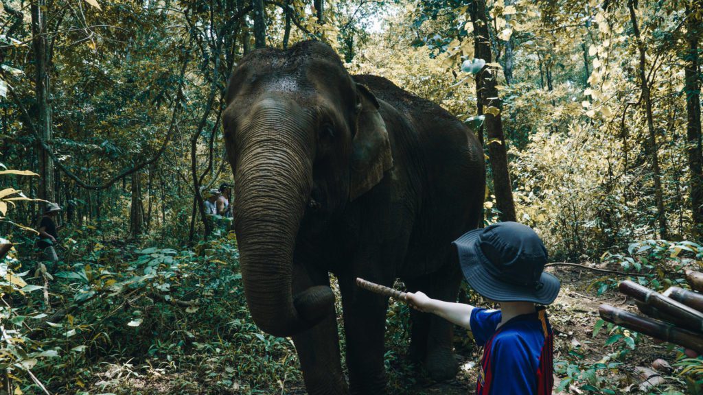 Mondulkiri: 3 Most Interesting Things to Do - AvyTravel