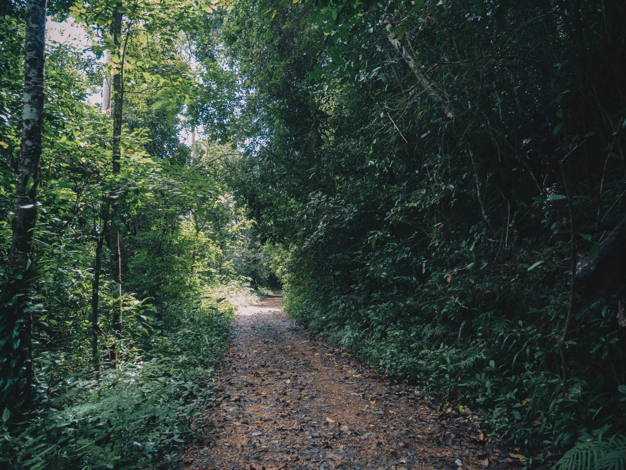 Kep National Park Hiking Trail