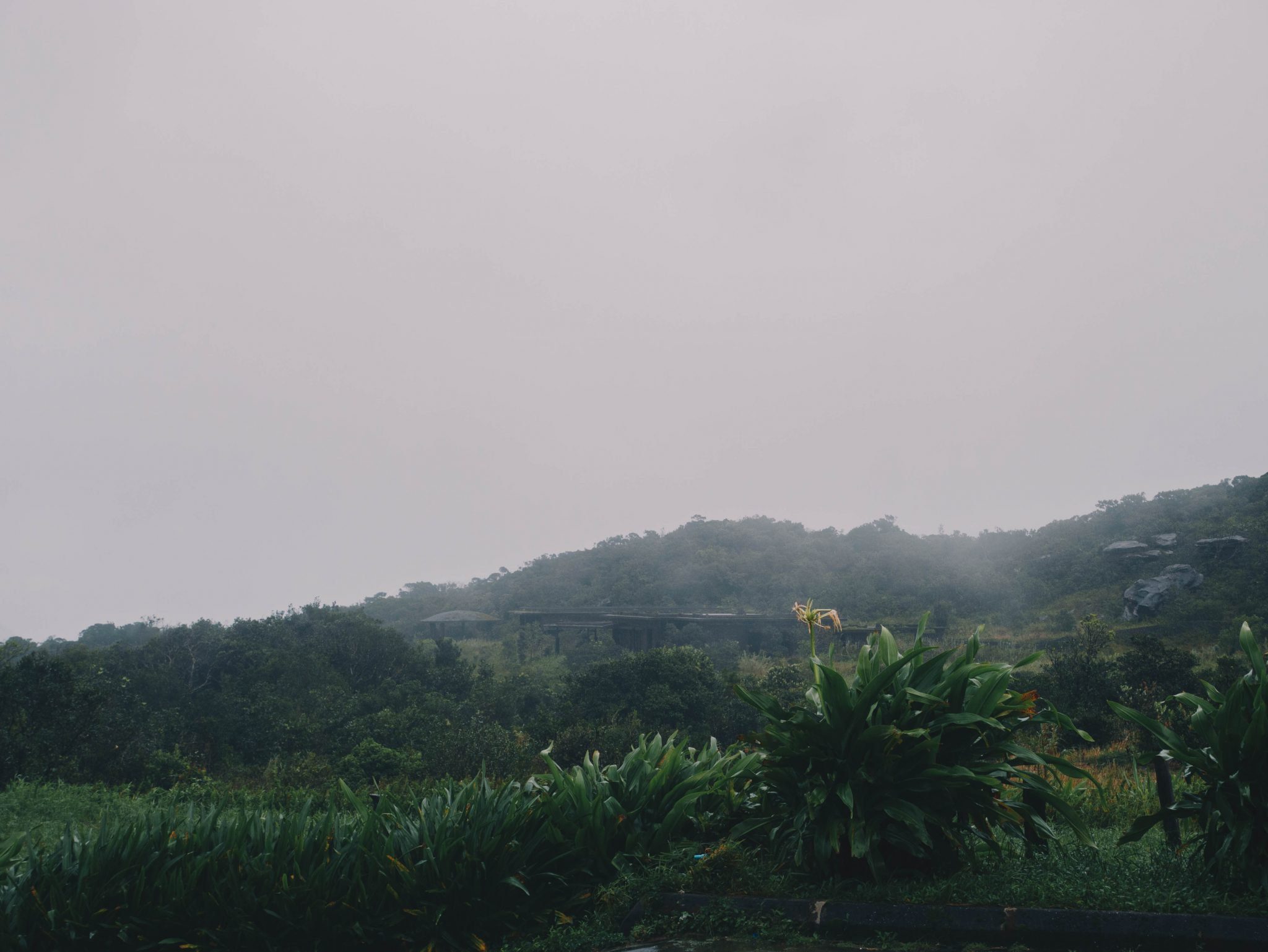 Bokor National Park