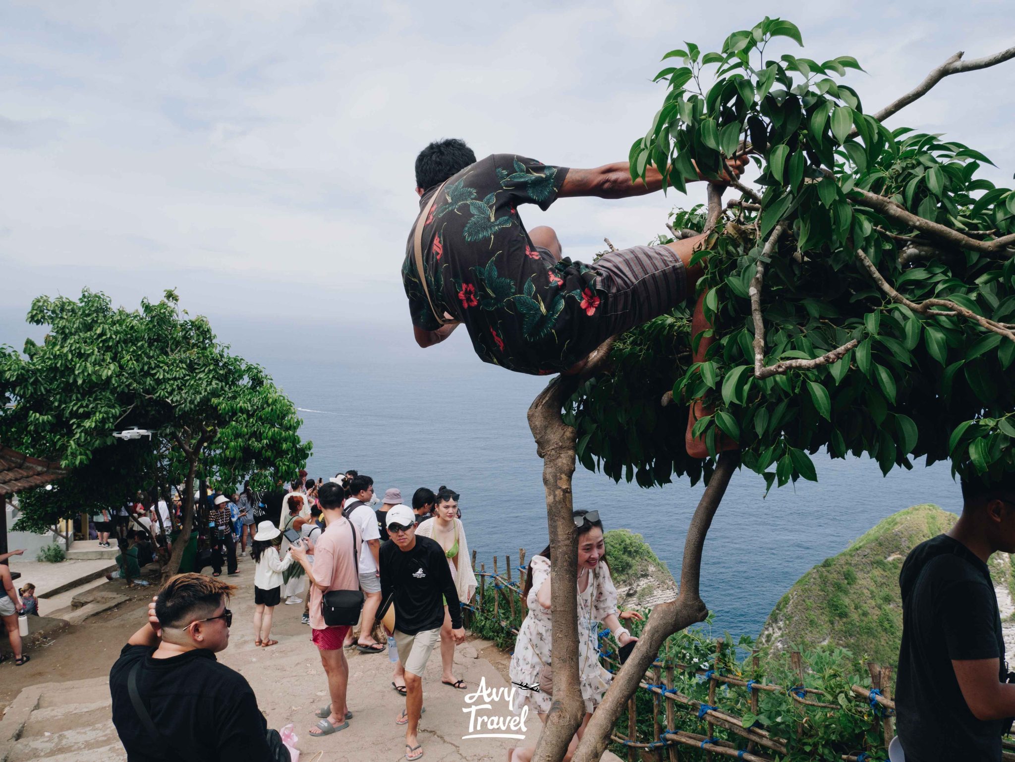 Kelingking Beach Nusa Penida