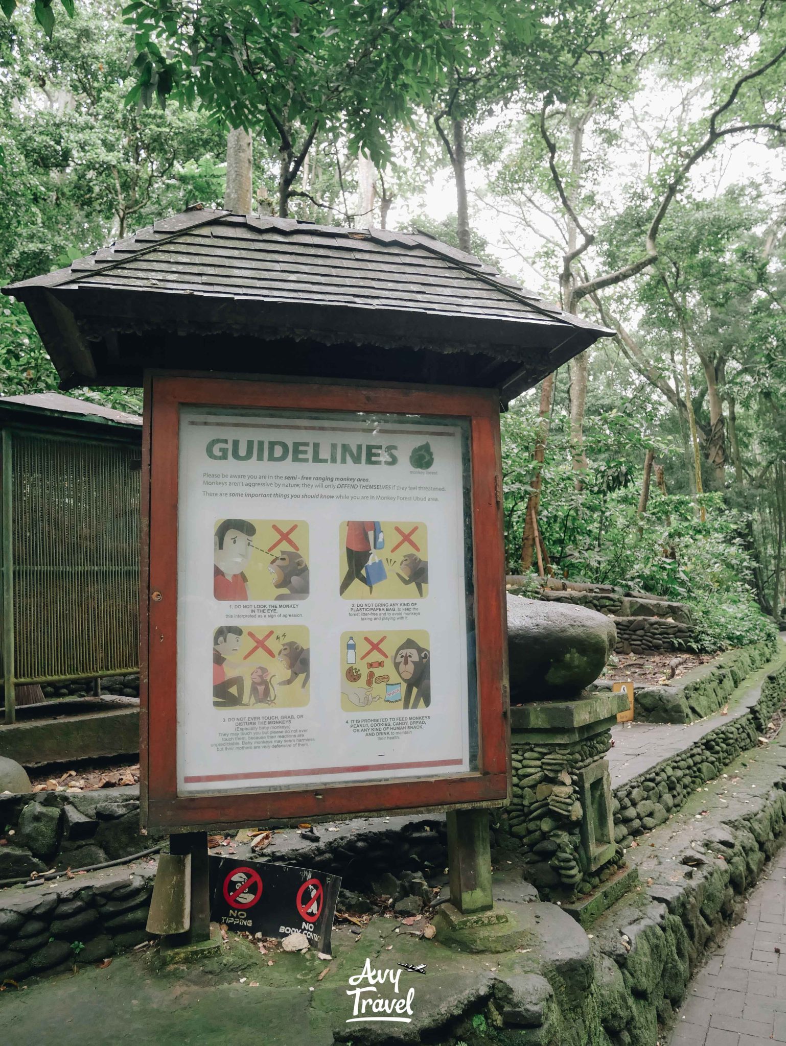 Monkey Forest Ubud