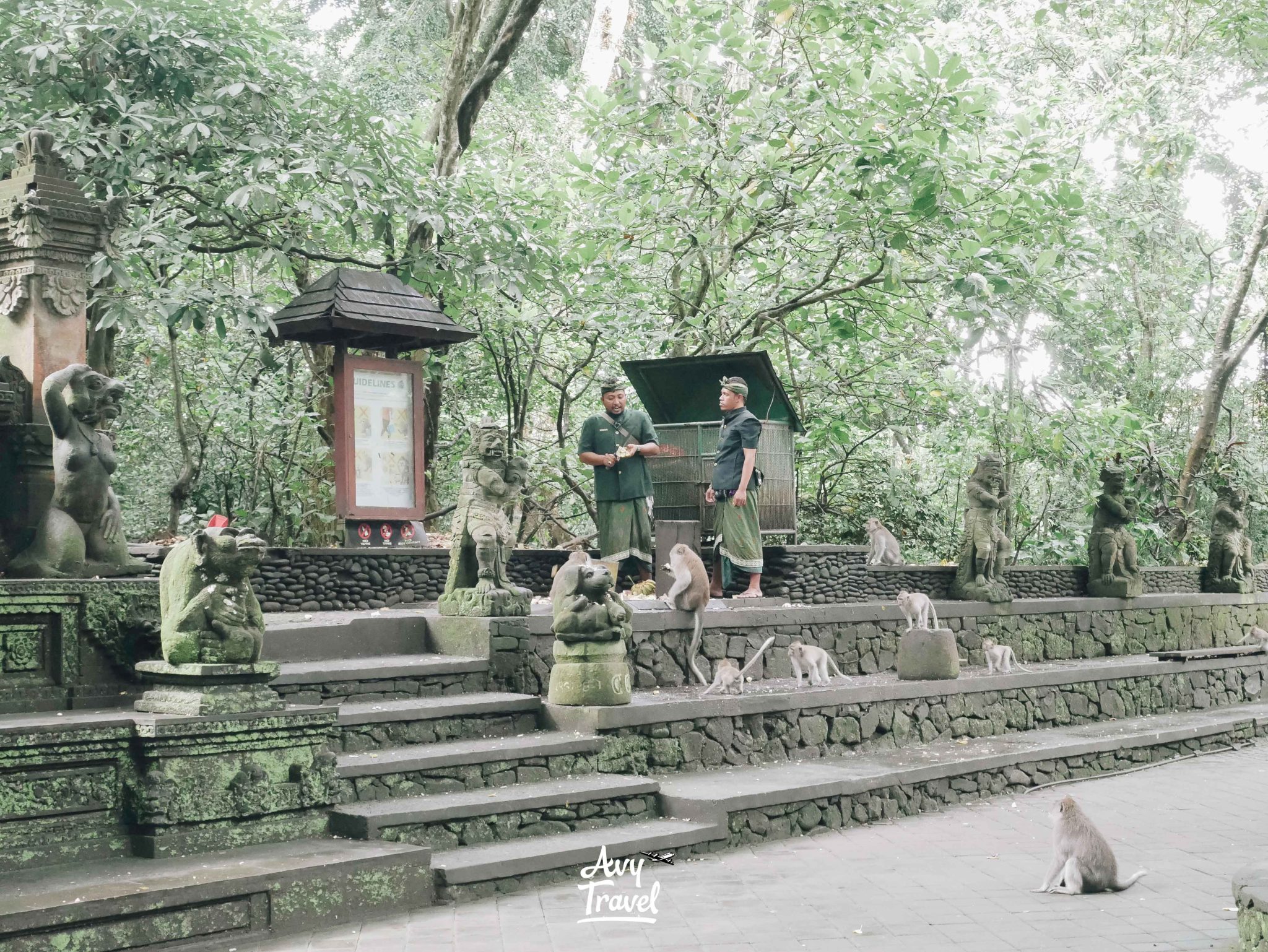 Monkey Forest Ubud