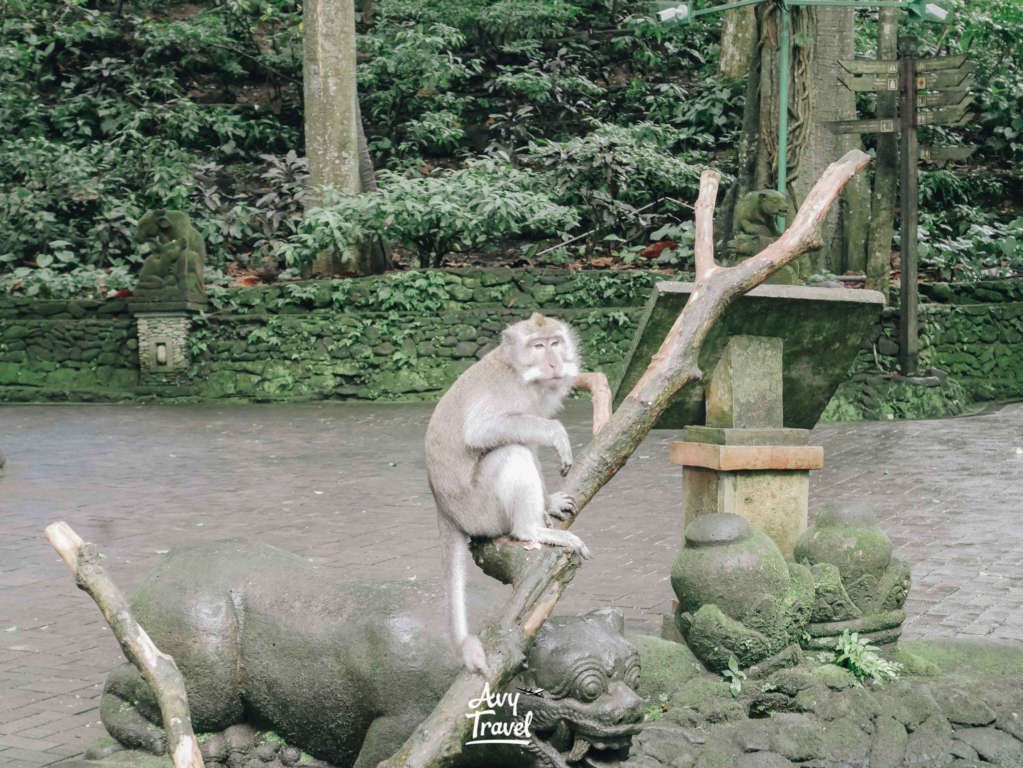 Monkey Forest Ubud