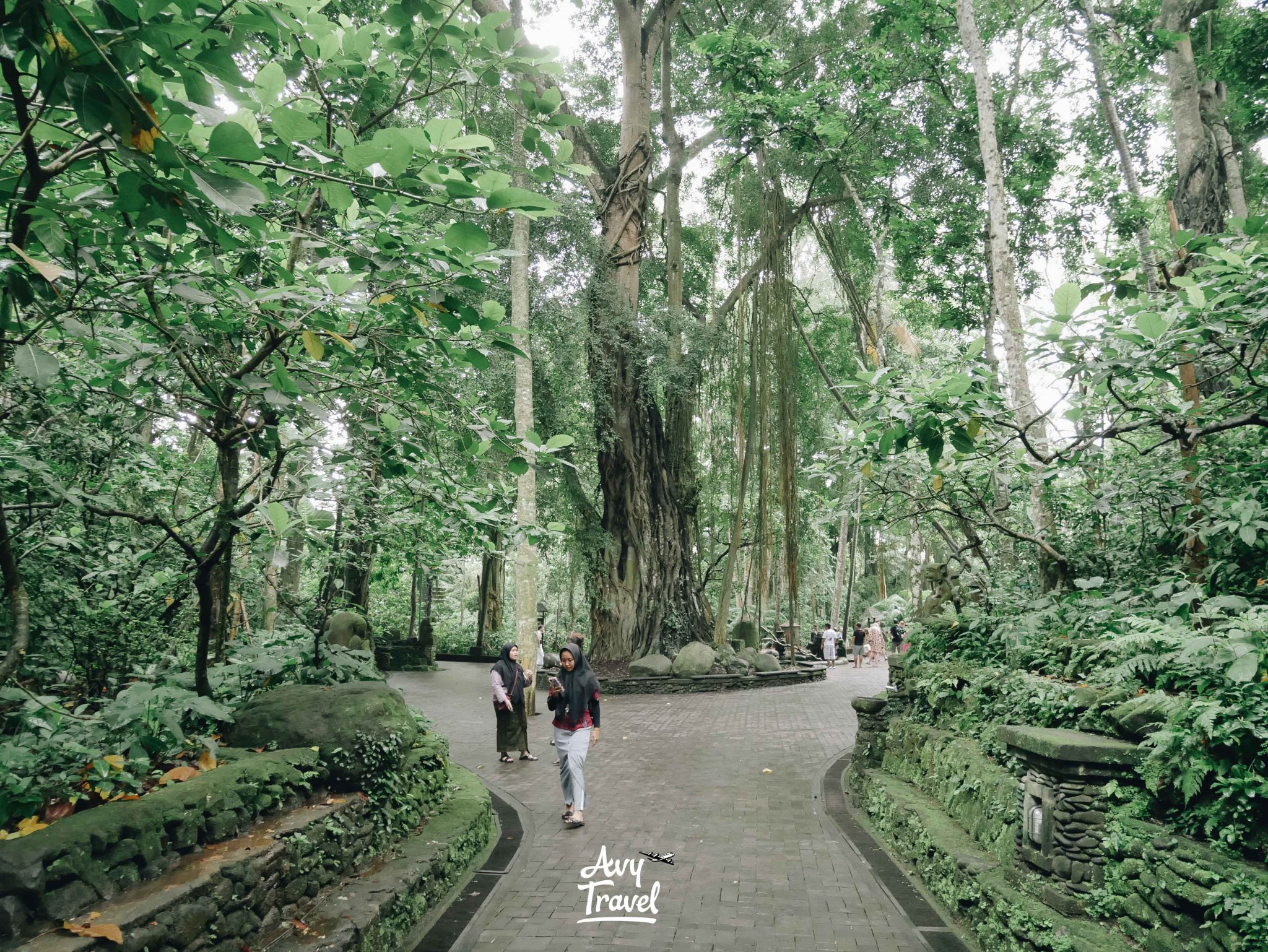 Monkey Forest Ubud