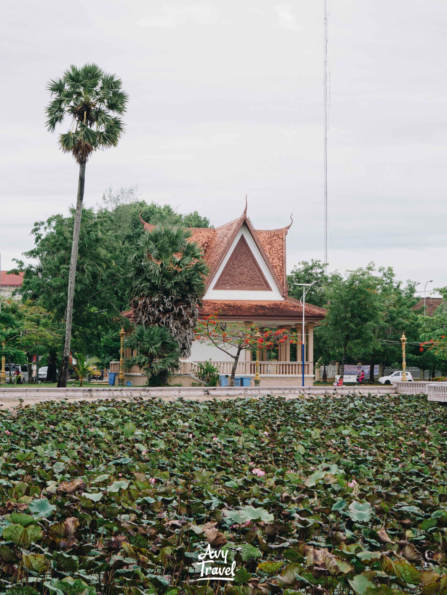 Lotus Pond Kampot