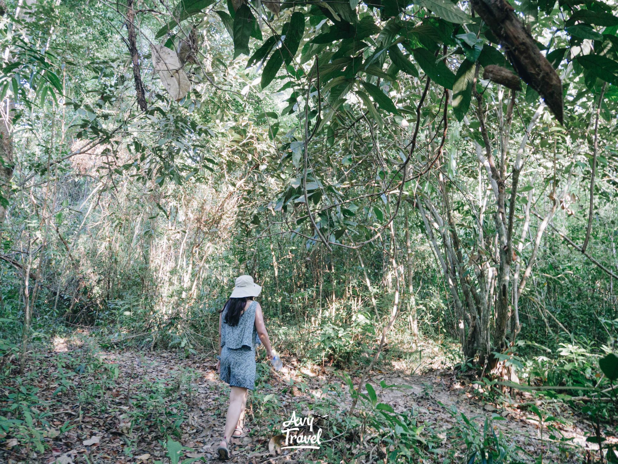 Beach Number 3 Waterfall, Koh Kong Krao