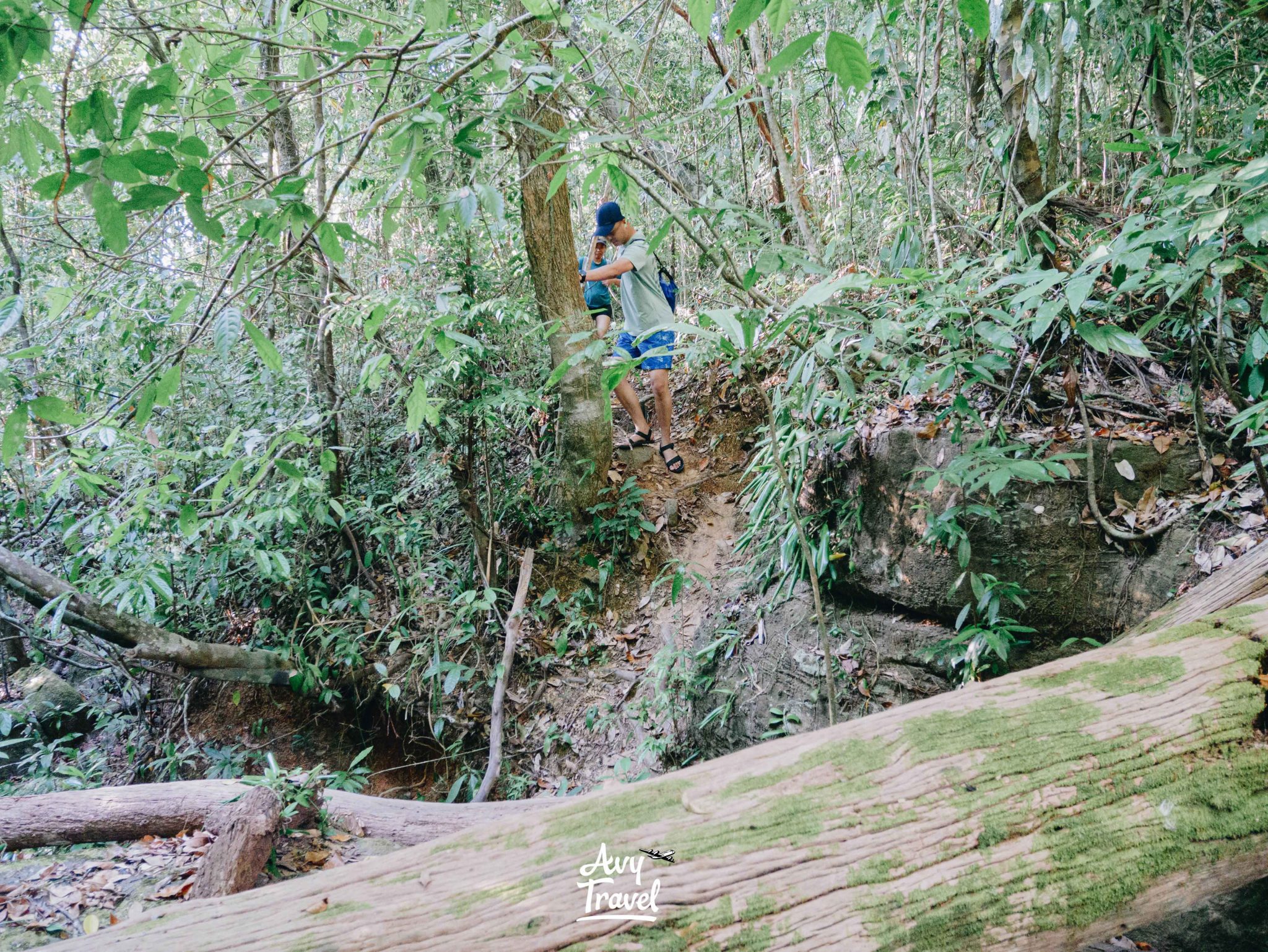 Beach Number 3 Waterfall, Koh Kong Krao