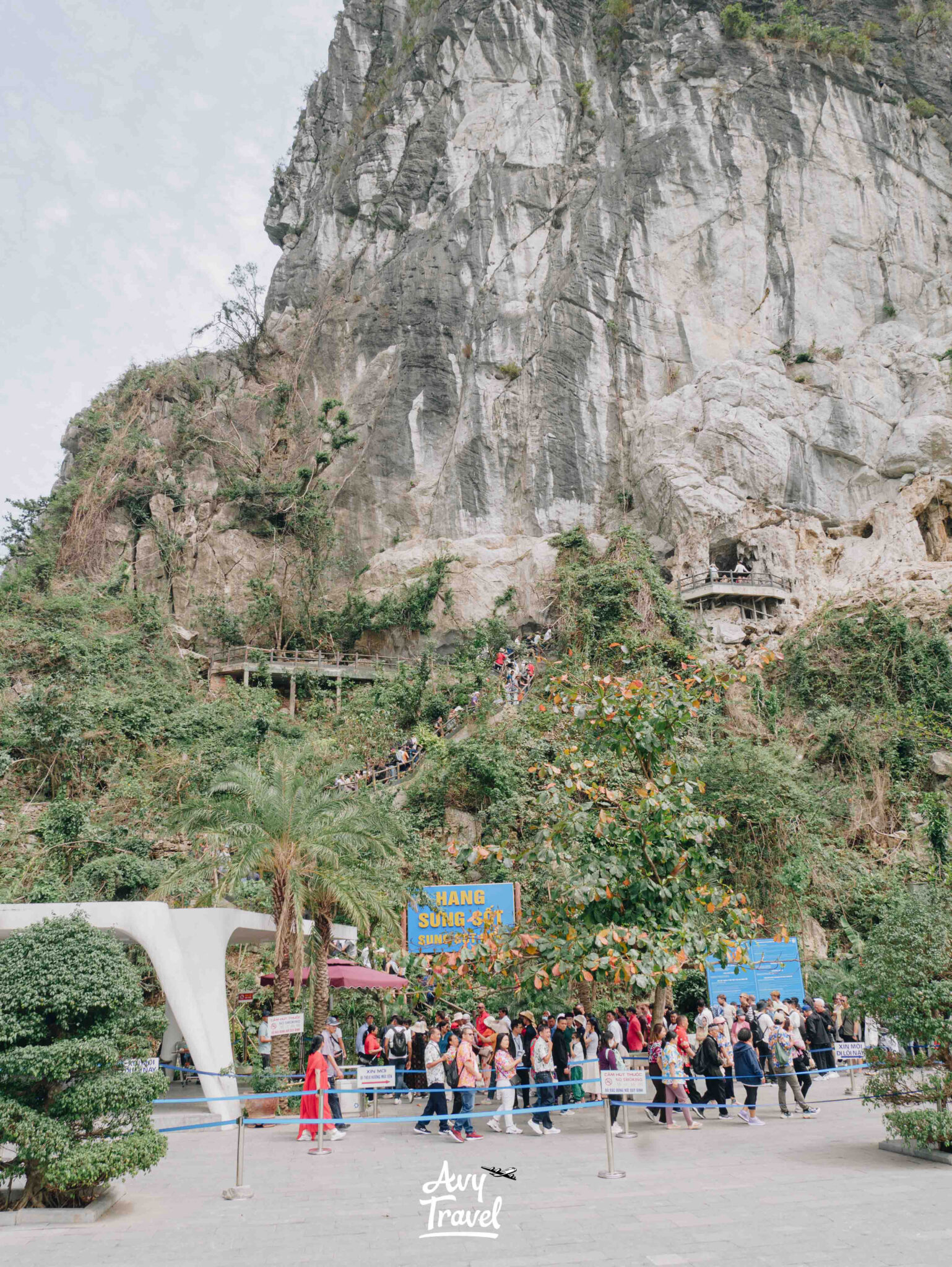 Sung Sot Cave Ha Long Bay