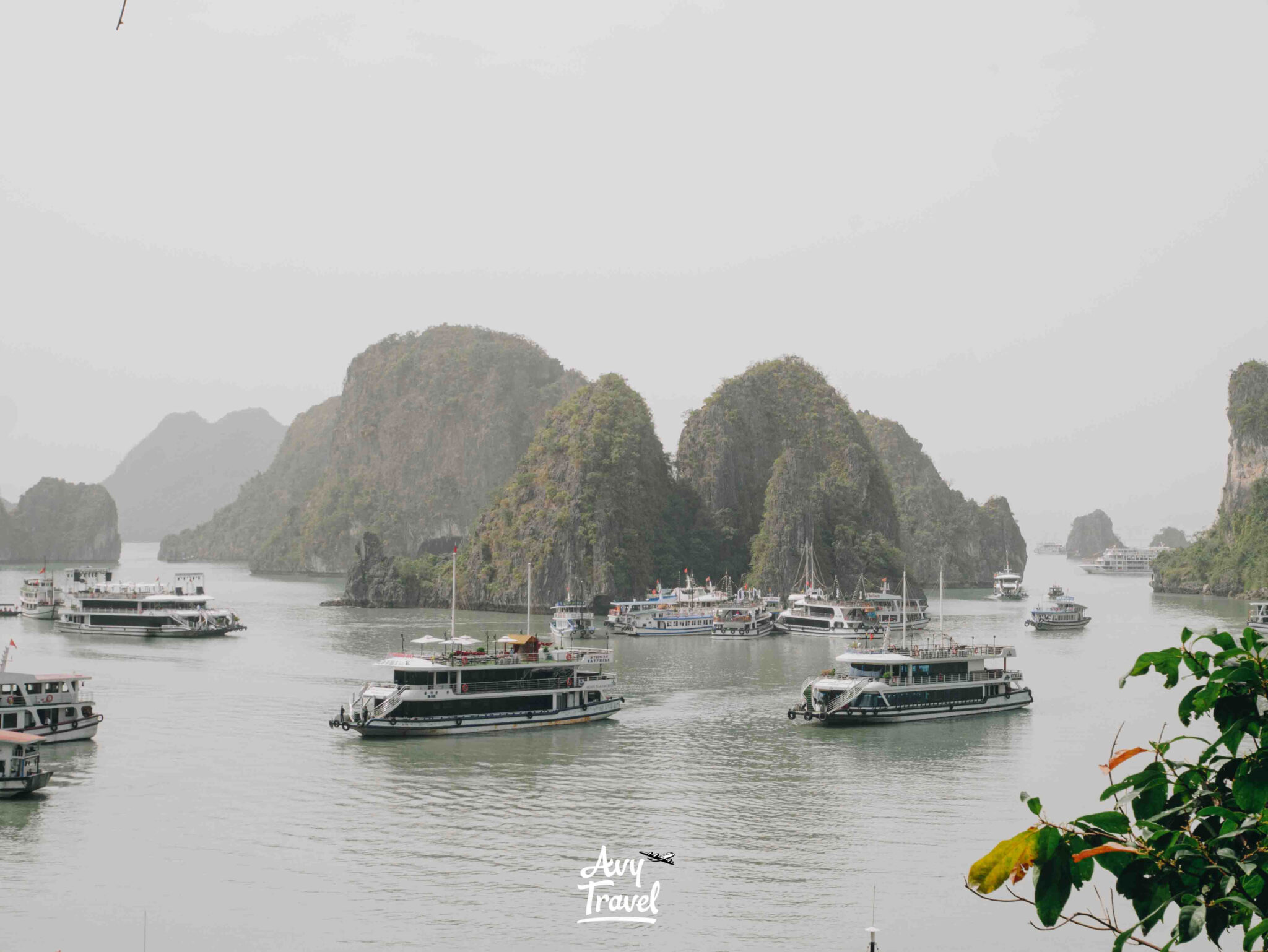 Sung Sot Cave Ha Long Bay