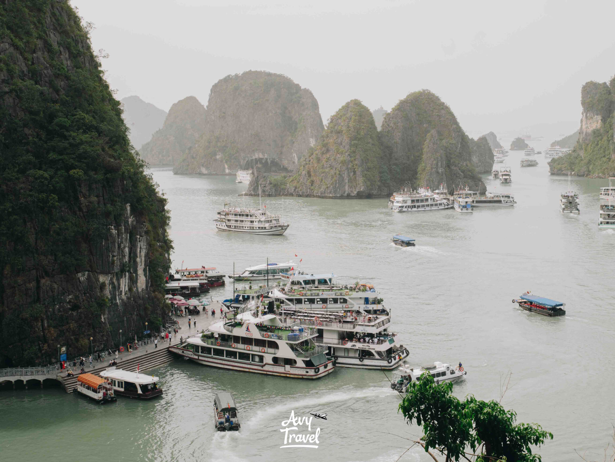 Sung Sot Cave Ha Long Bay