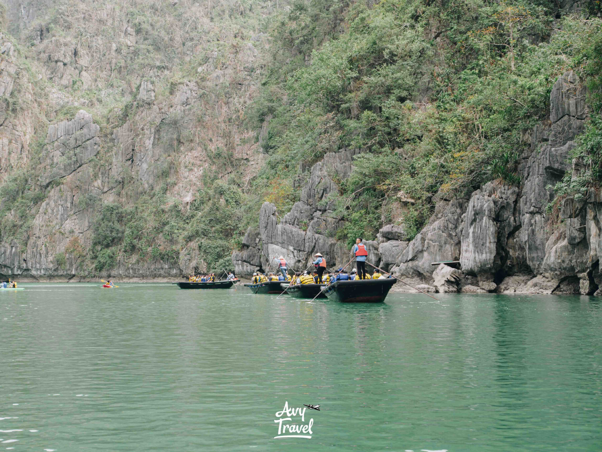 Luon Cave Ha Long Bay