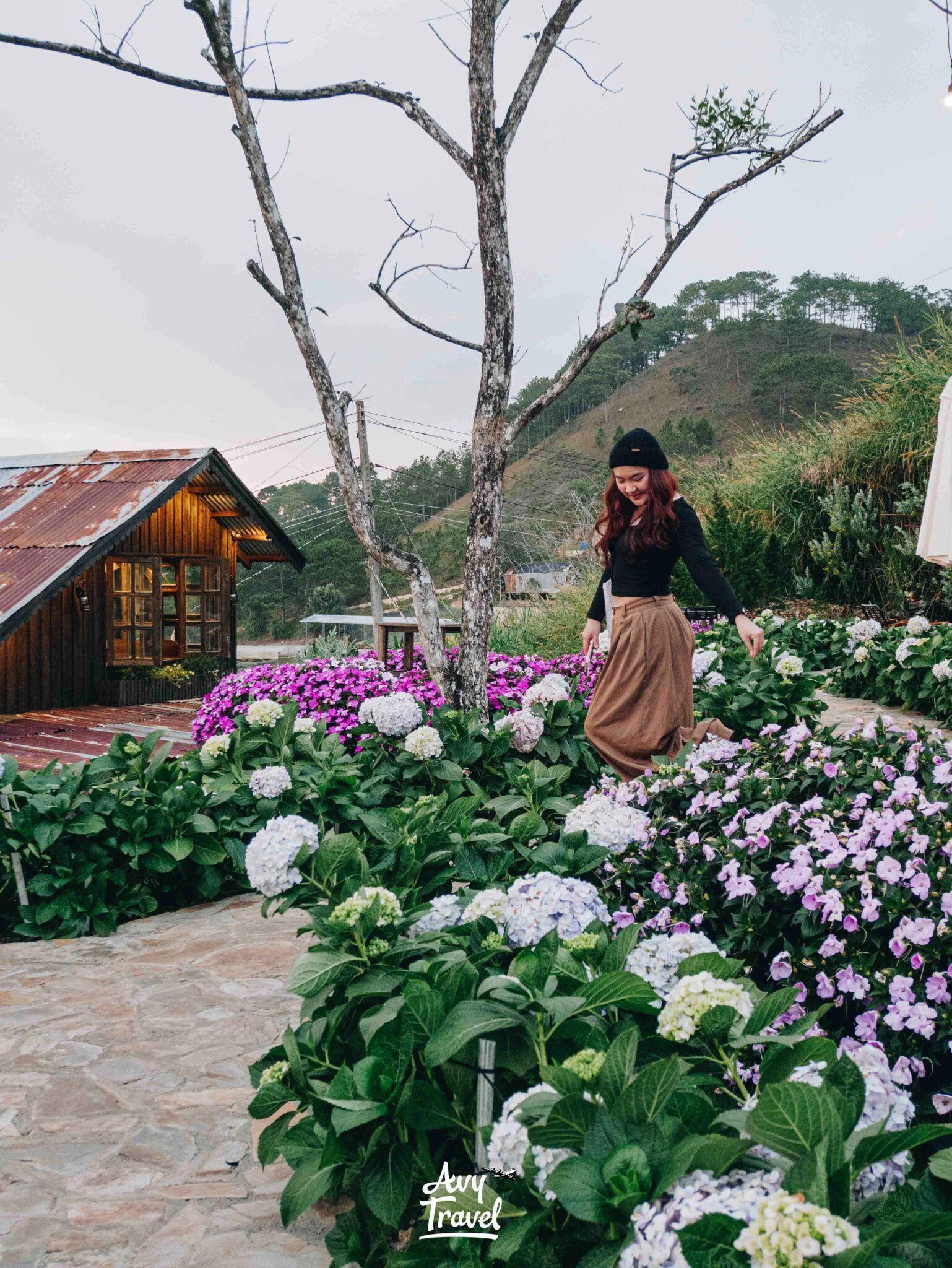 Thac May & Chill Da Lat