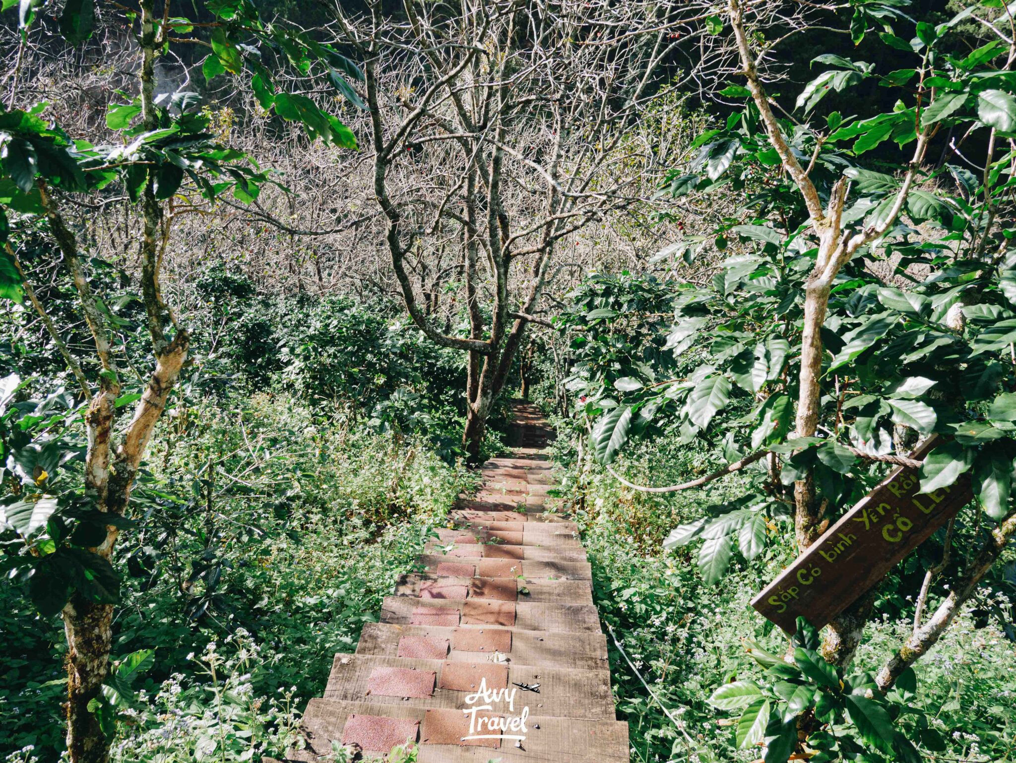 Bao Tien Mot Mo Binh Yen