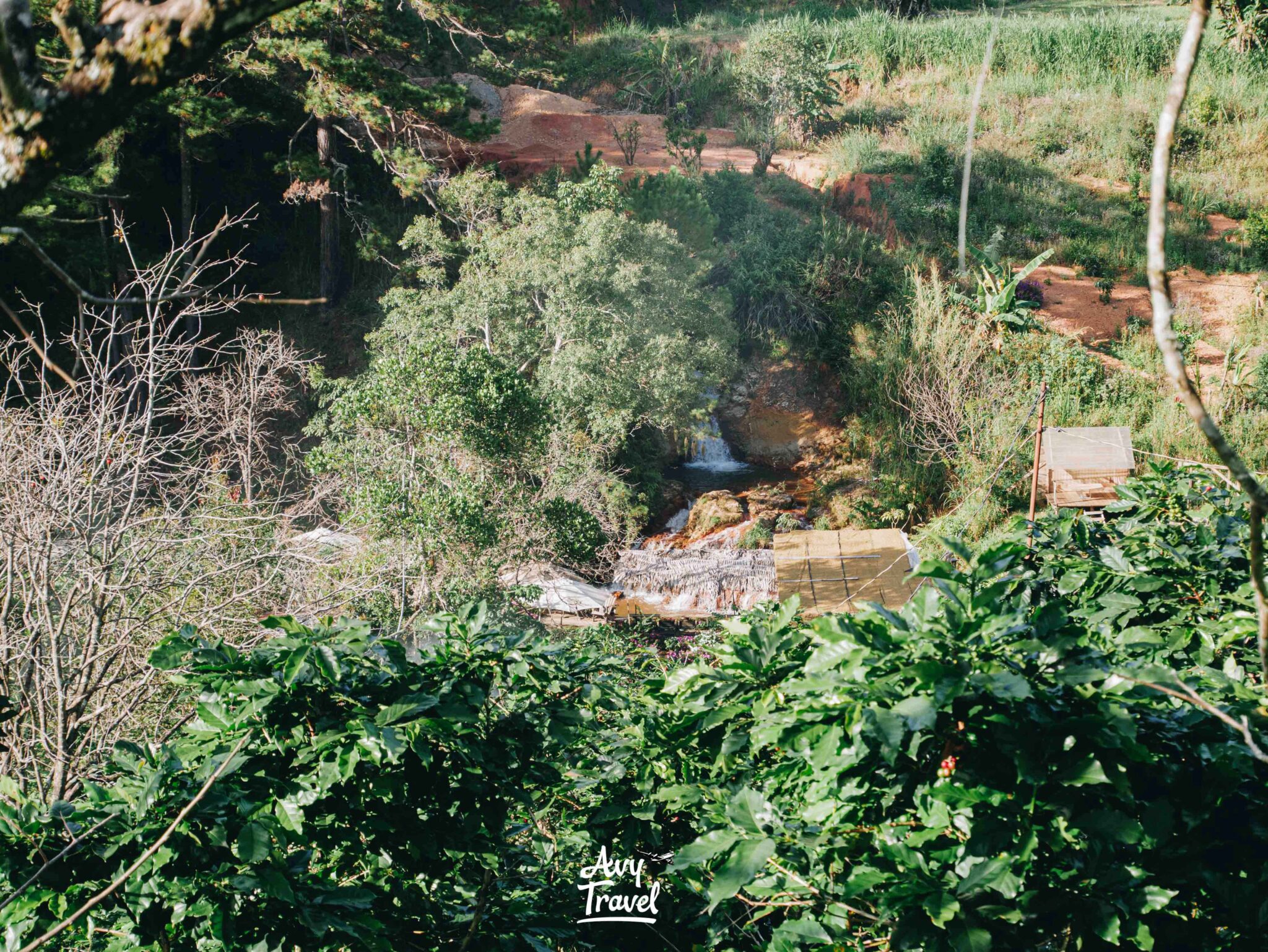 Bao Tien Mot Mo Binh Yen