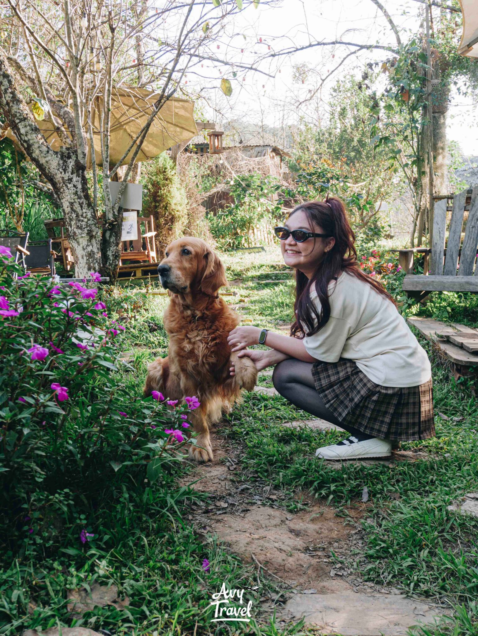 Bao Tien Mot Mo Binh Yen