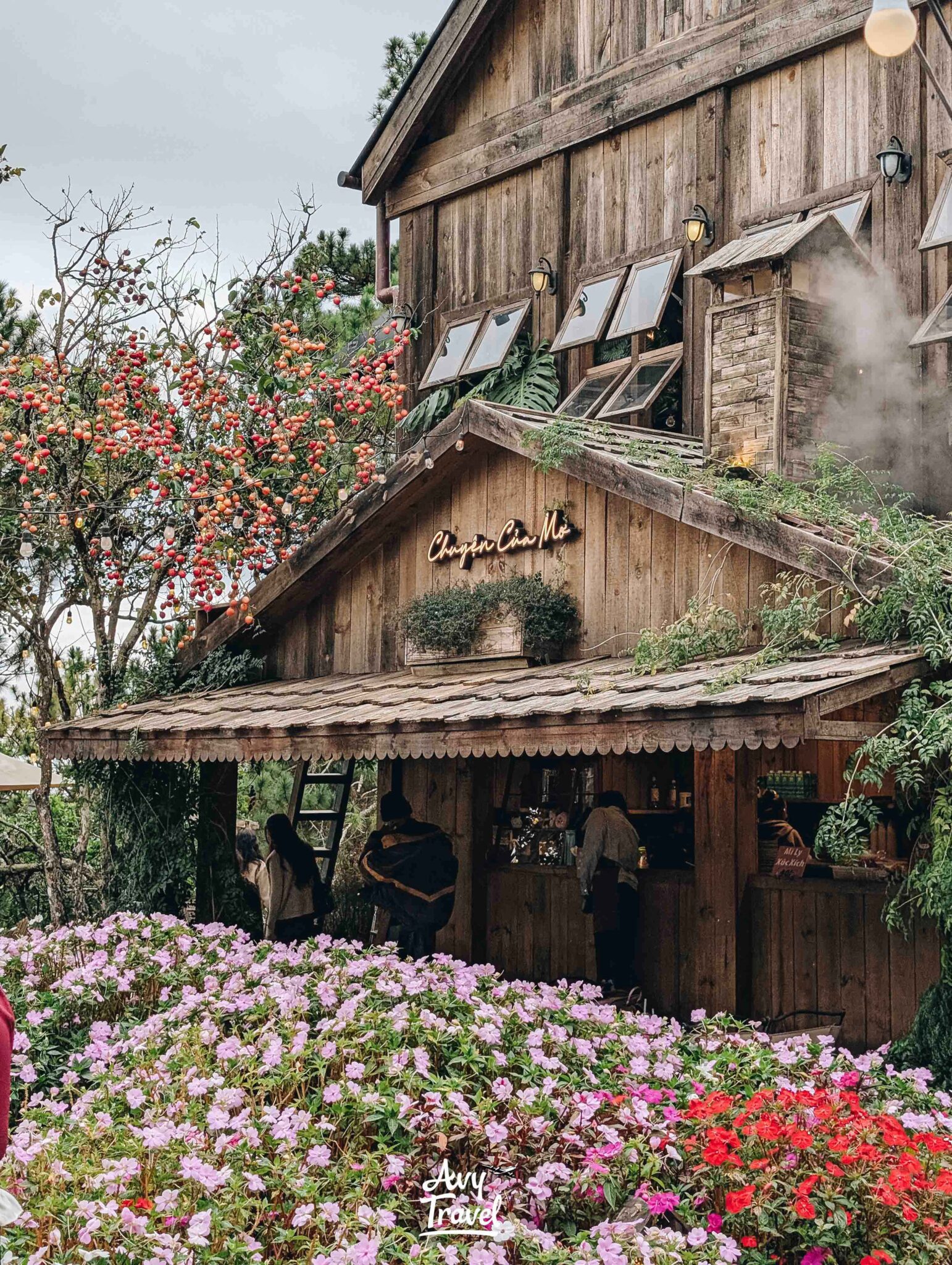 Chuyen Cua Mo Da Lat