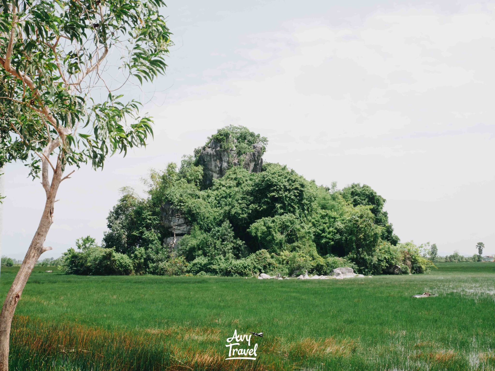 Phnom Teuk Thom Kampot