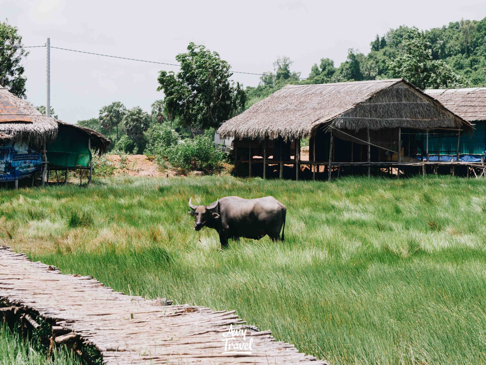 Phnom Teuk Thom Kampot