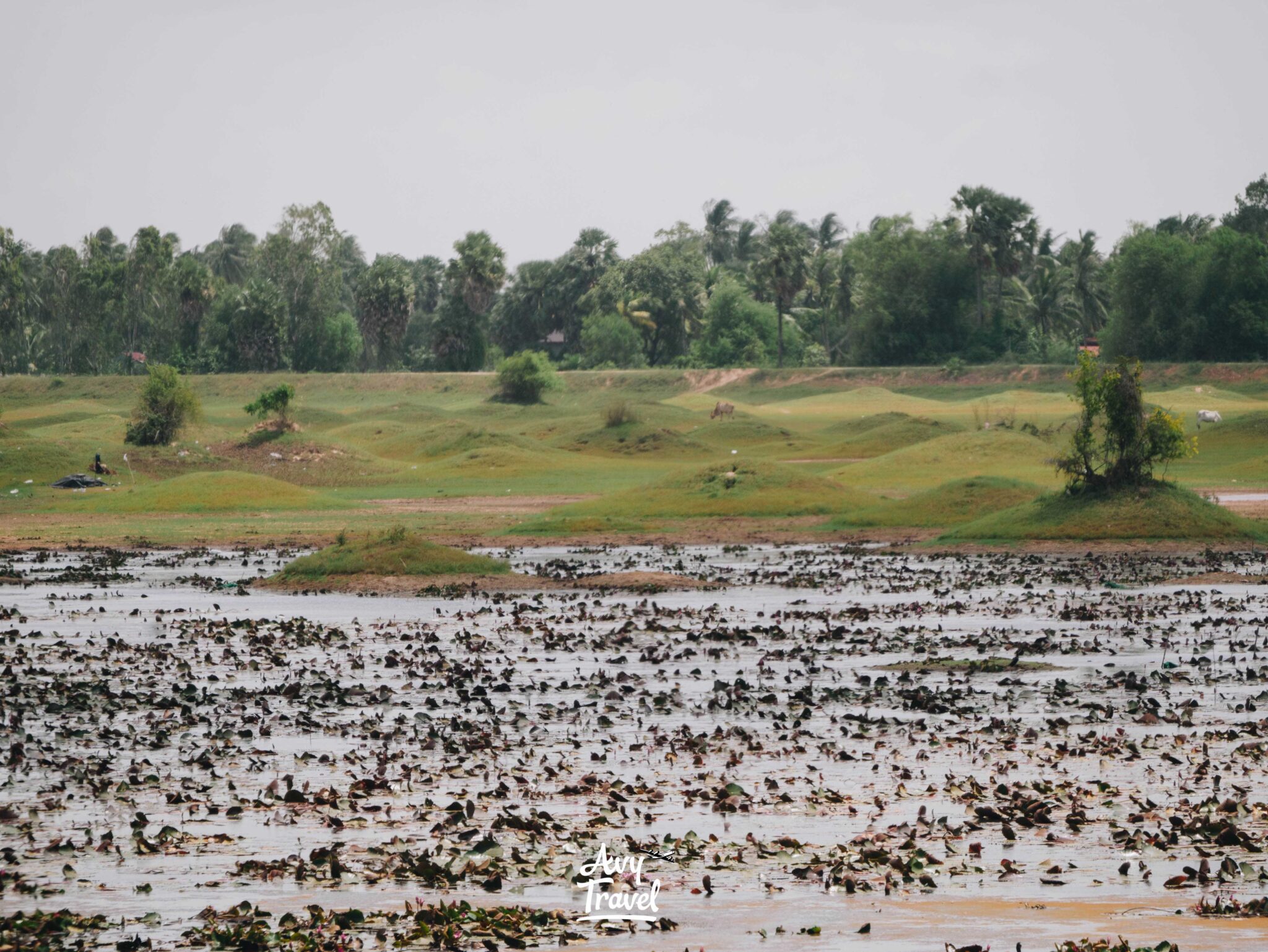 Phnom Domrei Kampot